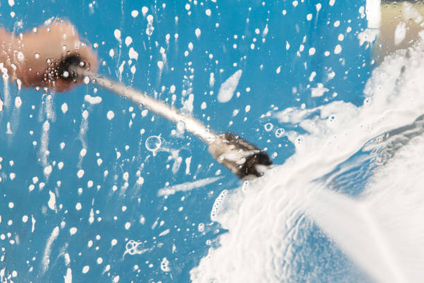Animal Enclosure Cleaning in Ventress, LA
